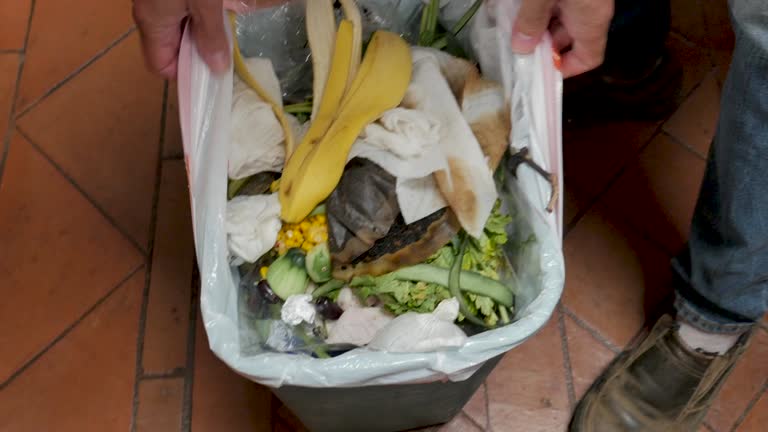 Best Carpet Removal and Disposal  in Pierz, MN