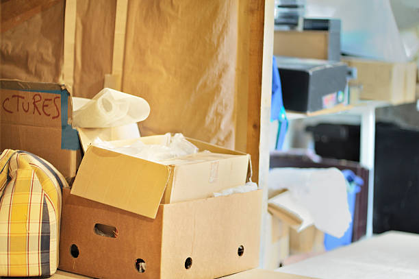 Best Recycling Services for Junk  in Pierz, MN